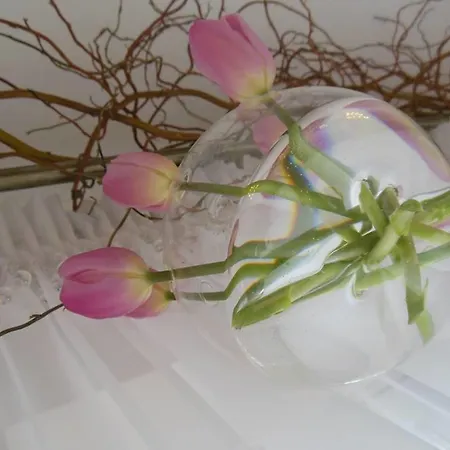 Ows Dorota Lodge Kolbudy