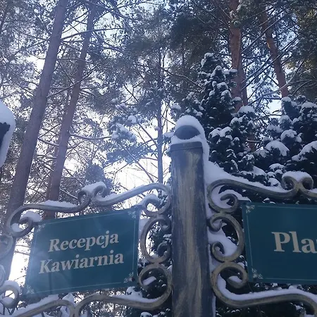 Ows Dorota * Kolbudy