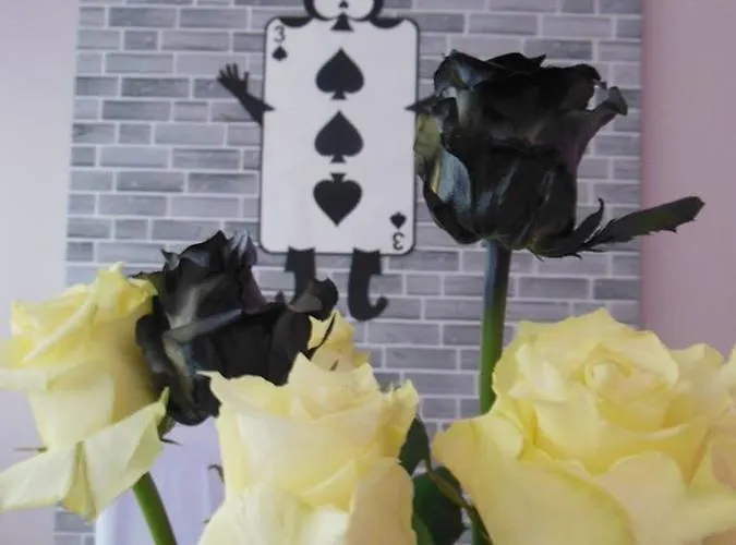 Chata Ows Dorota Kolbudy