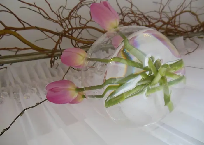 Ows Dorota Chata Kolbudy