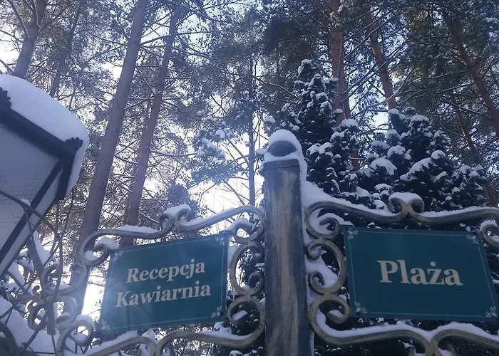 Ows Dorota * Kolbudy