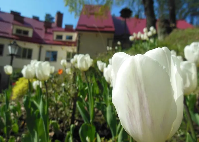 Ows Dorota Chata Kolbudy